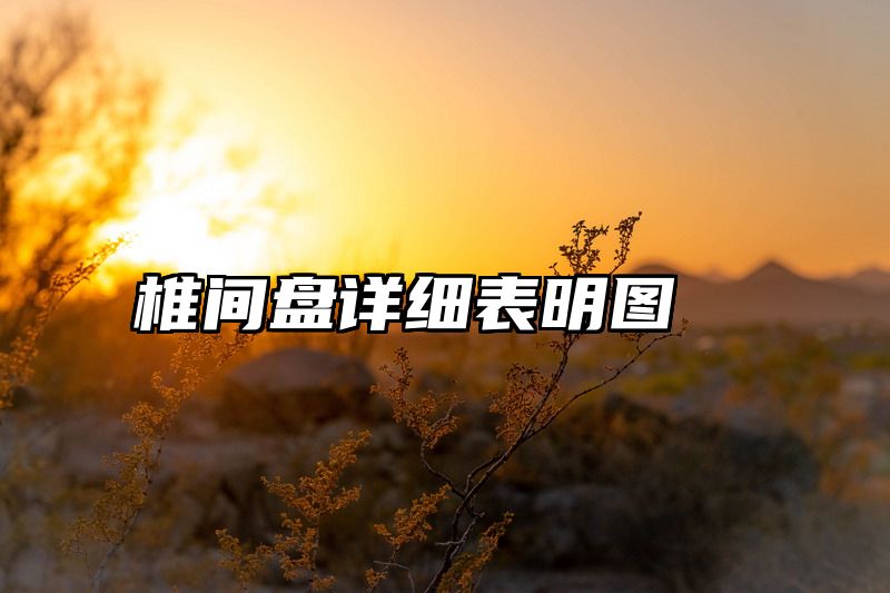 椎间盘详细表明图
