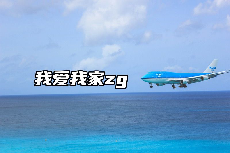 我爱我家zg