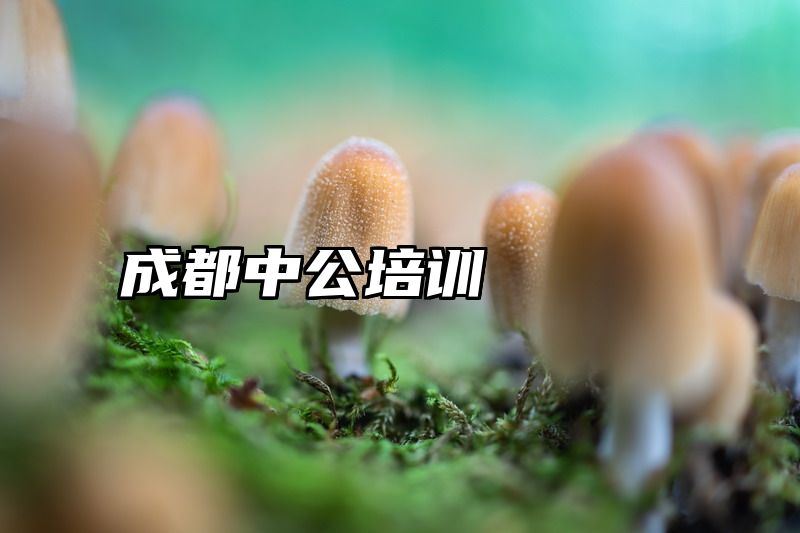 成都中公培训