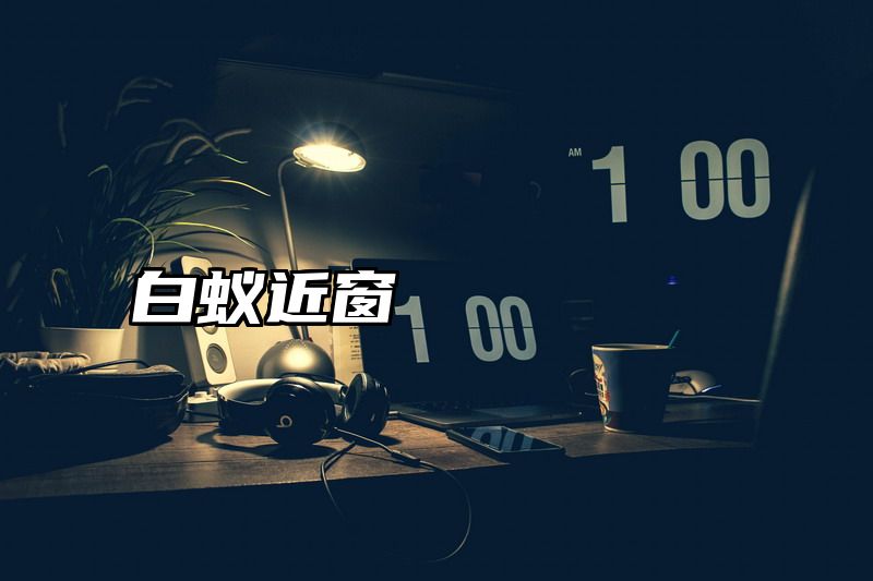 白蚁近窗