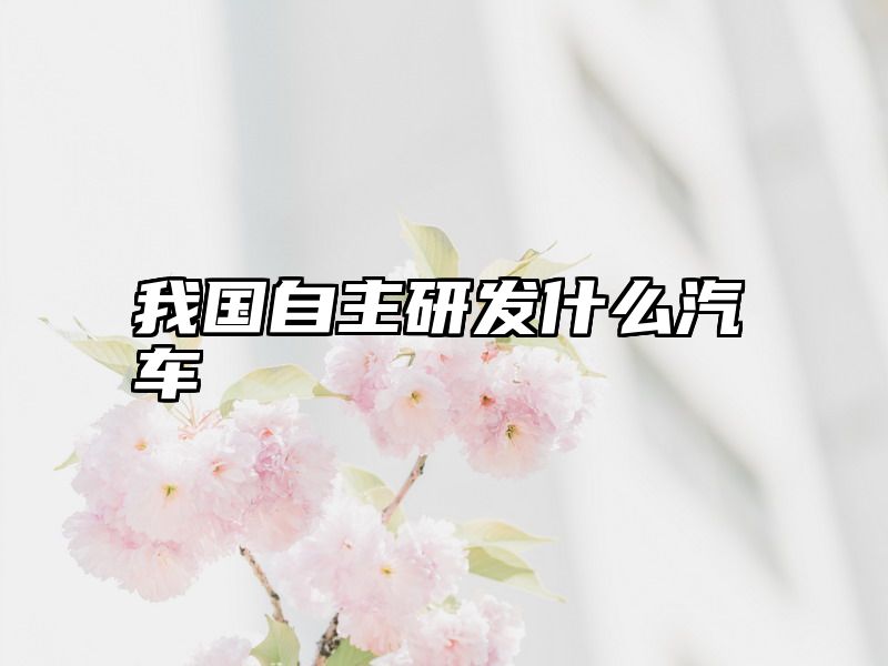 我国自主研发什么汽车