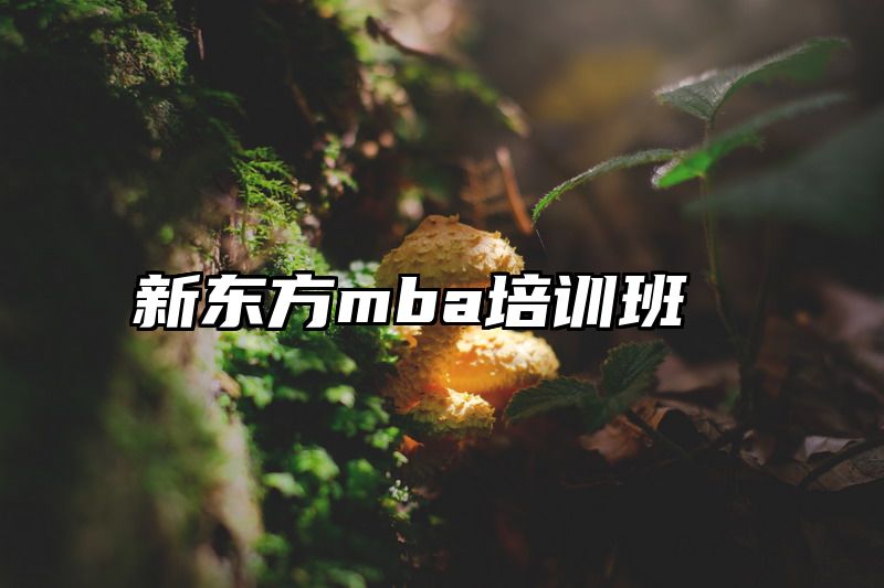 新东方mba培训班