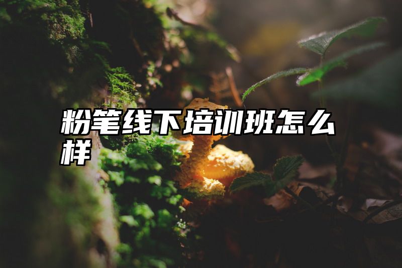 粉笔线下培训班怎么样