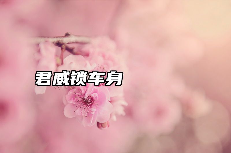 君威锁车身