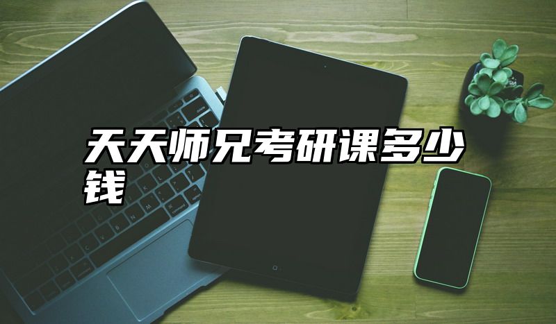 天天师兄考研课多少钱