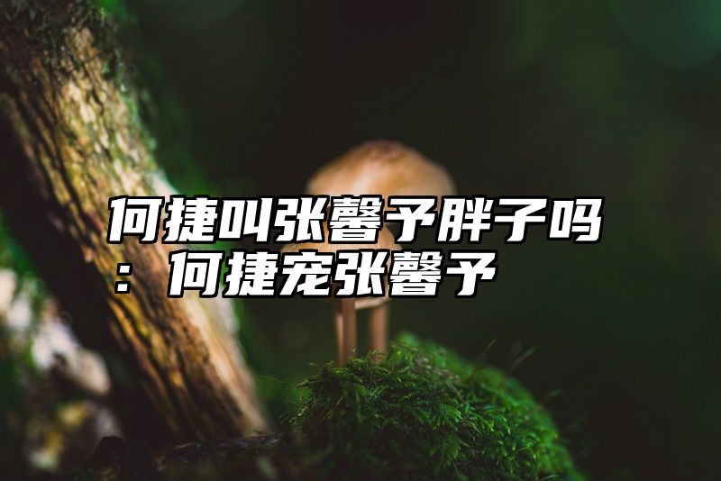 何捷叫张馨予胖子吗：何捷宠张馨予