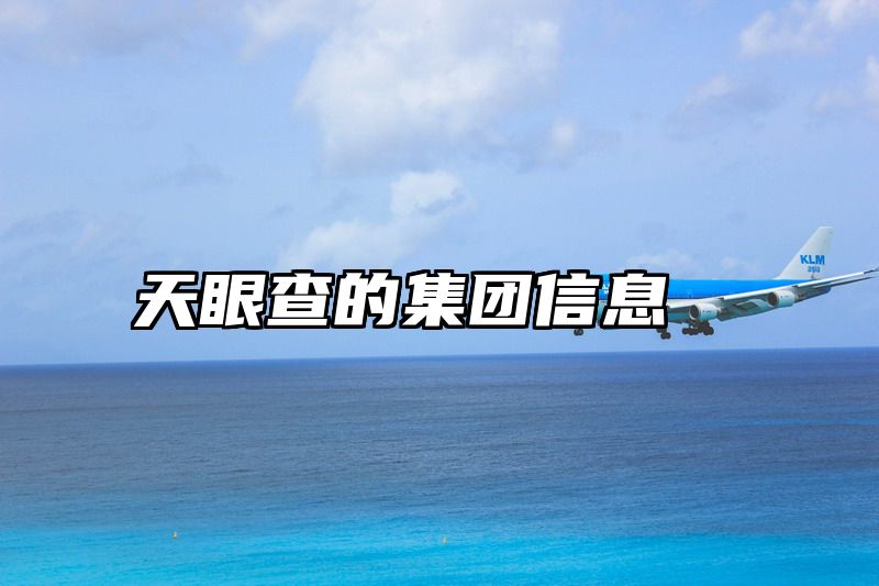 天眼查的集团信息
