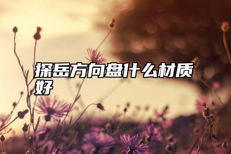 探岳方向盘什么材质好