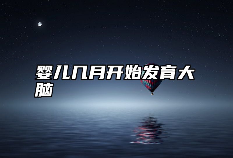 婴儿几月开始发育大脑