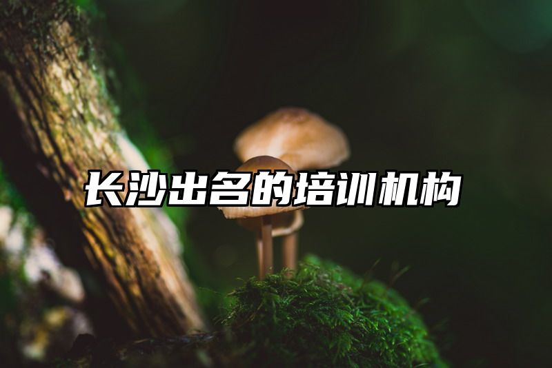 长沙出名的培训机构