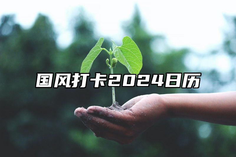 国风打卡2024日历
