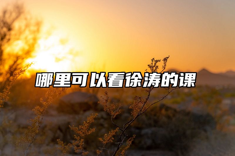 哪里可以看徐涛的课