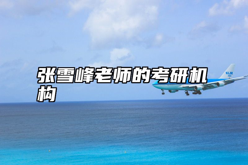 张雪峰老师的考研机构