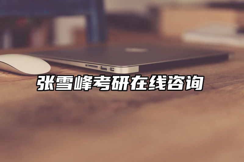 张雪峰考研在线咨询