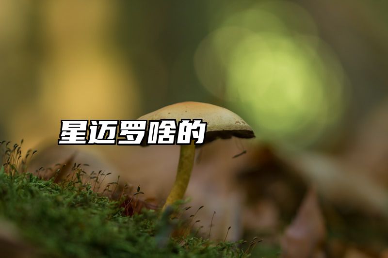 星迈罗啥的