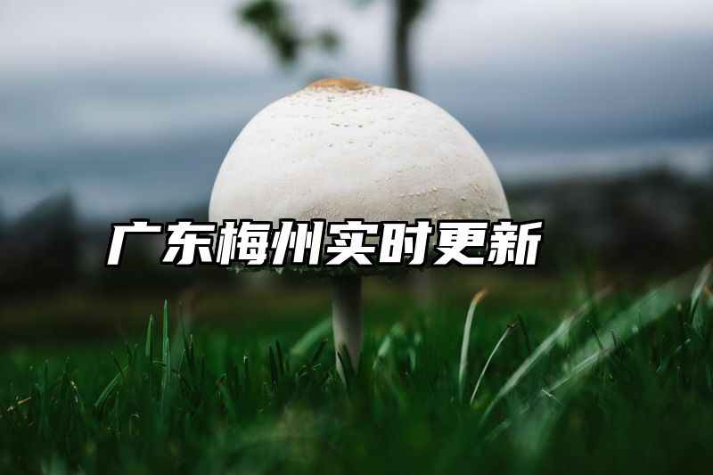广东梅州实时更新