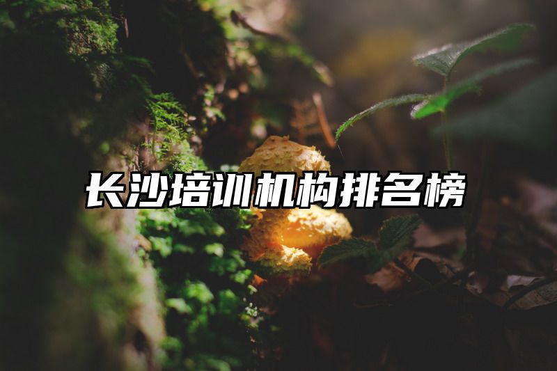 长沙培训机构排名榜