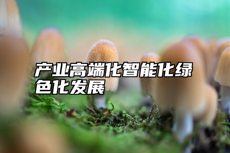 产业高端化智能化绿色化发展