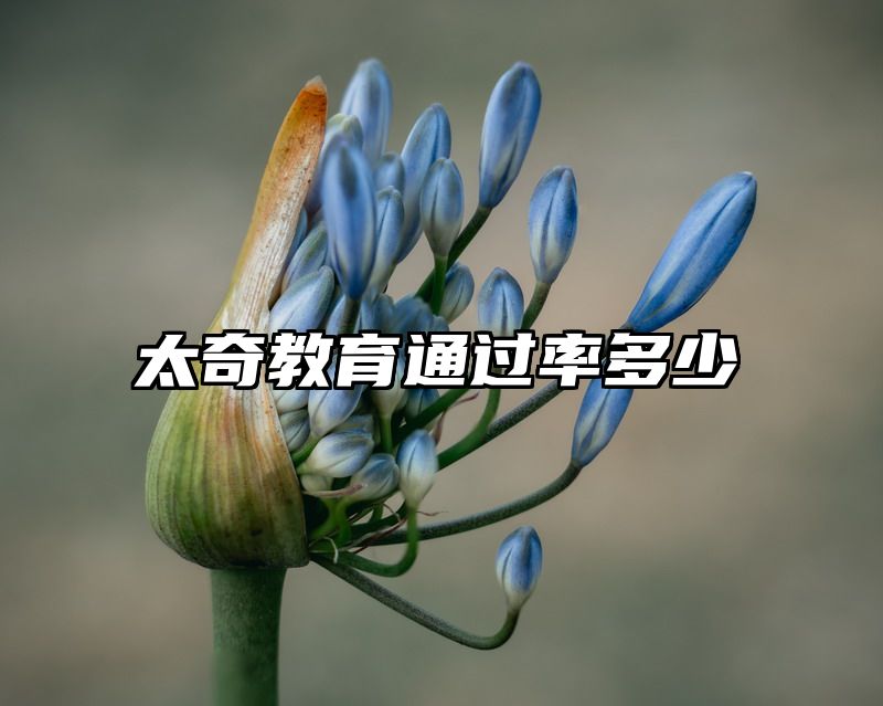 太奇教育通过率多少