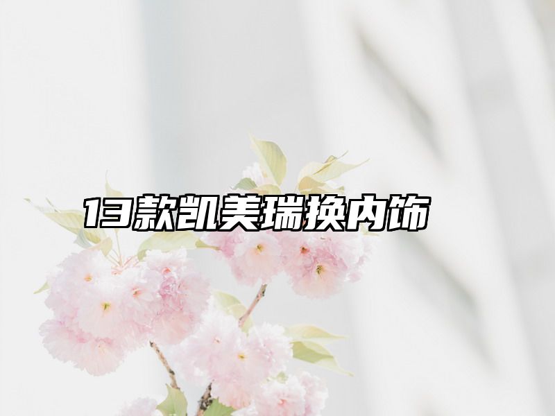 13款凯美瑞换内饰