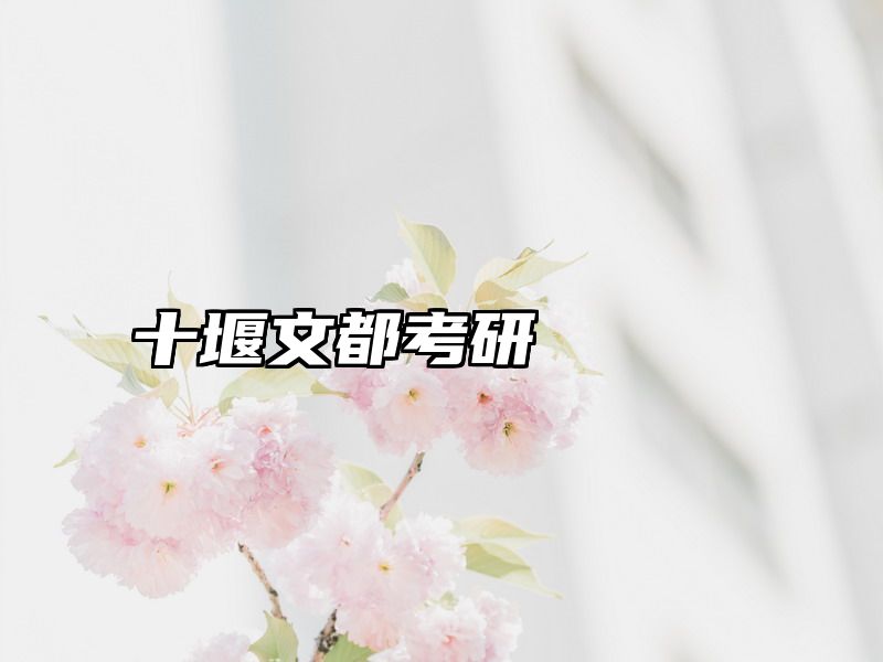 十堰文都考研