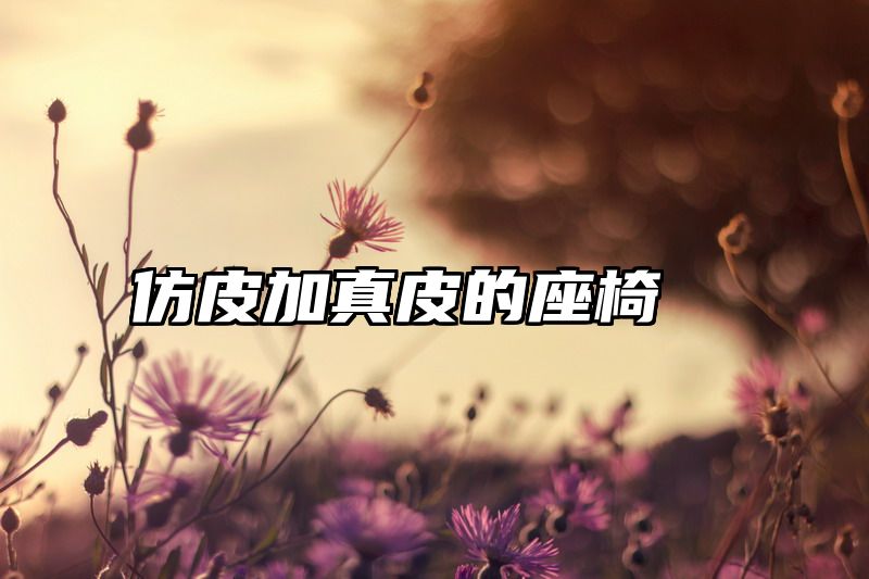 仿皮加真皮的座椅