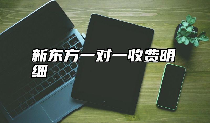 新东方一对一收费明细
