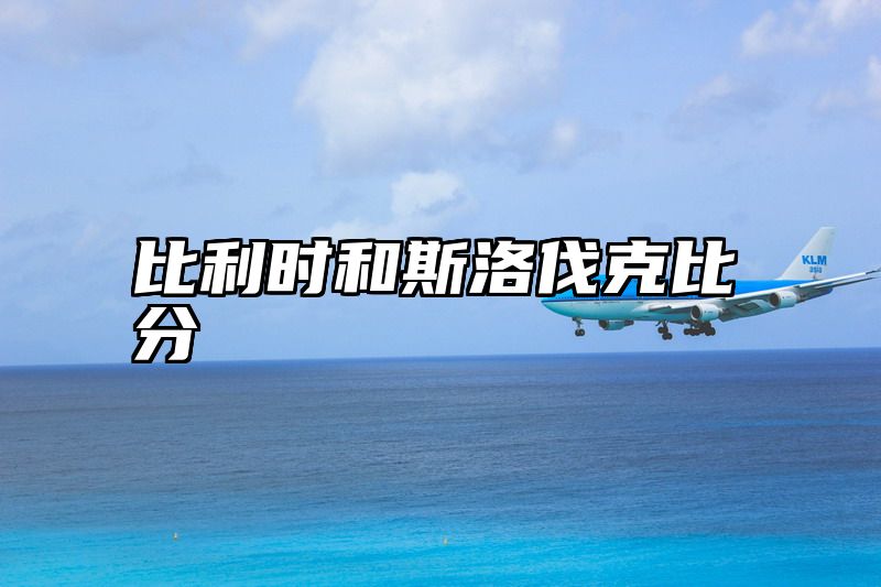 比利时和斯洛伐克比分