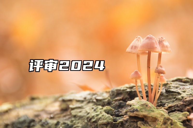 评审2024