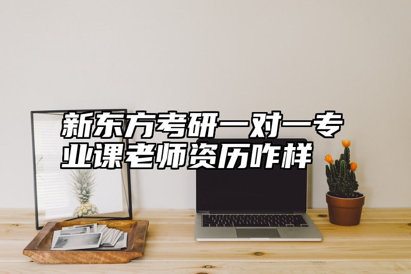 新东方考研一对一专业课老师资历咋样