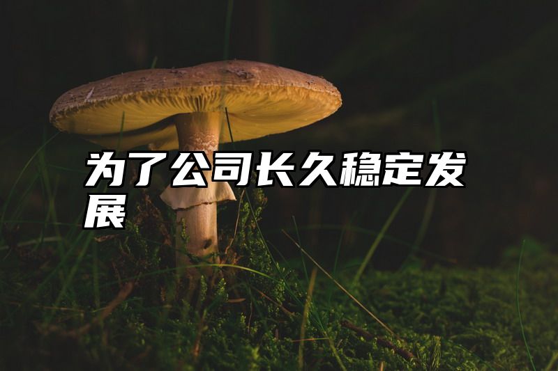 为了公司长久稳定发展