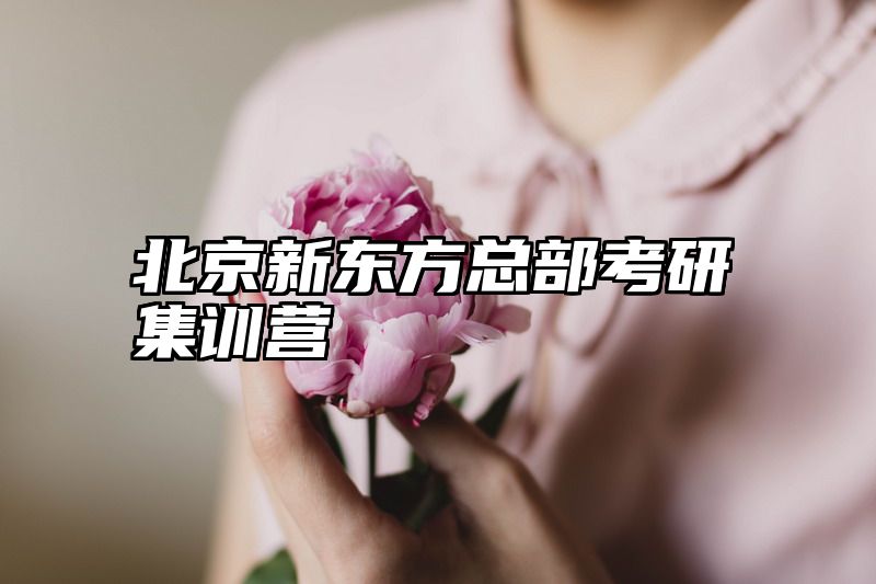 北京新东方总部考研集训营