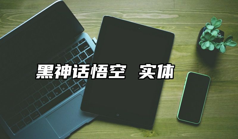 黑神话悟空 实体