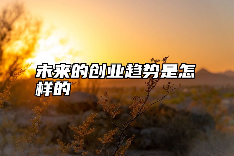 未来的创业趋势是怎样的