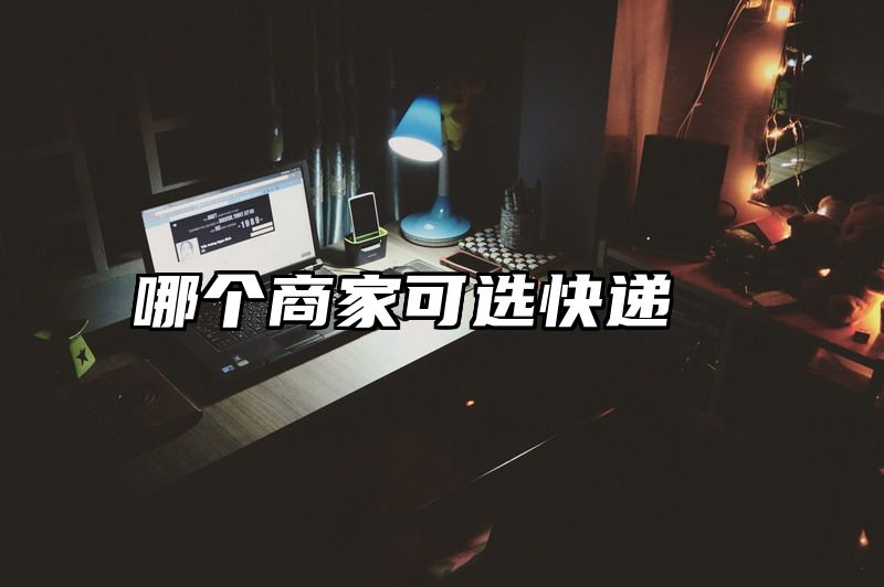 哪个商家可选快递
