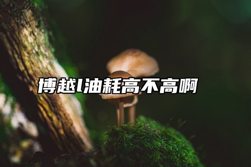 博越l油耗高不高啊