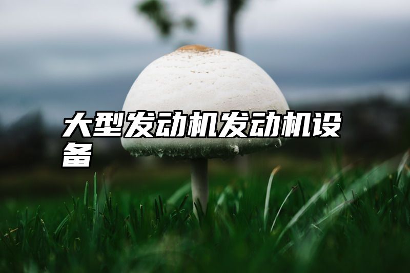 大型发动机发动机设备