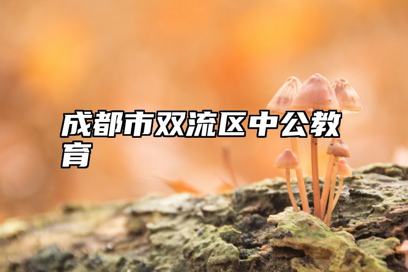 成都市双流区中公教育