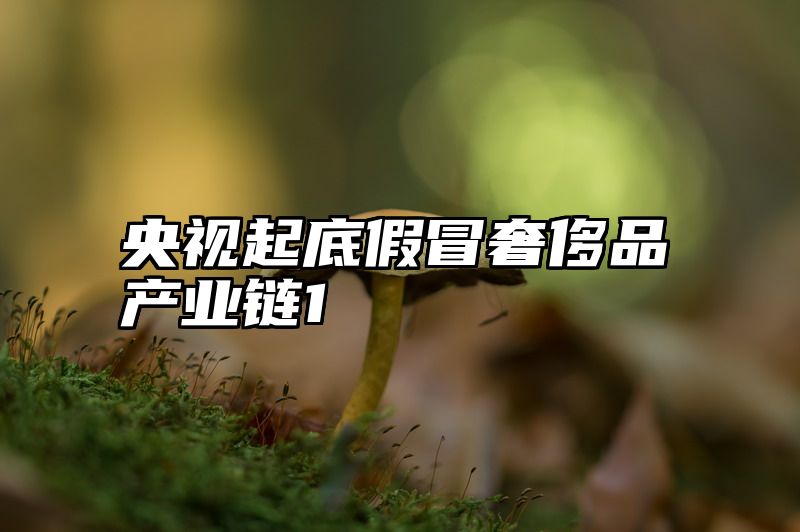 央视起底假冒奢侈品产业链1