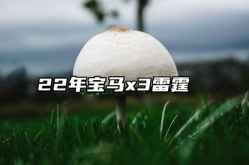 22年宝马x3雷霆