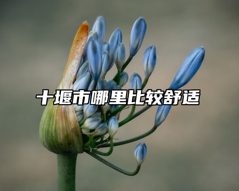 十堰市哪里比较舒适