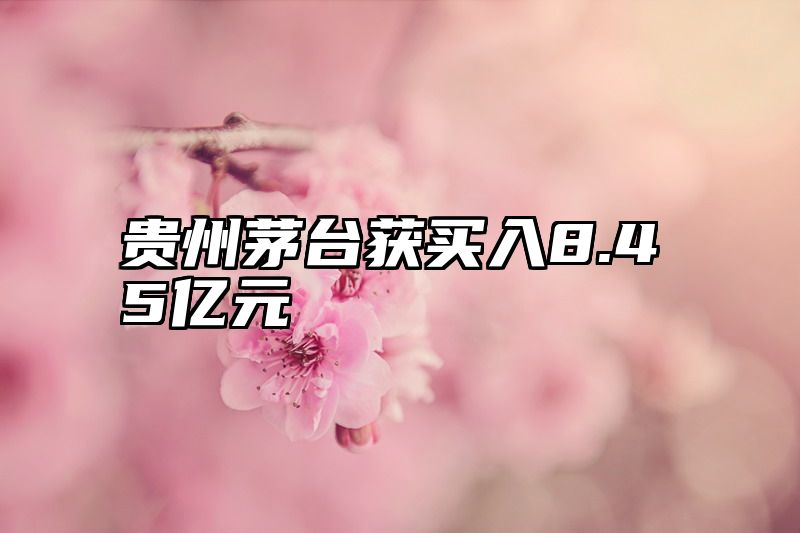 贵州茅台获买入8.45亿元