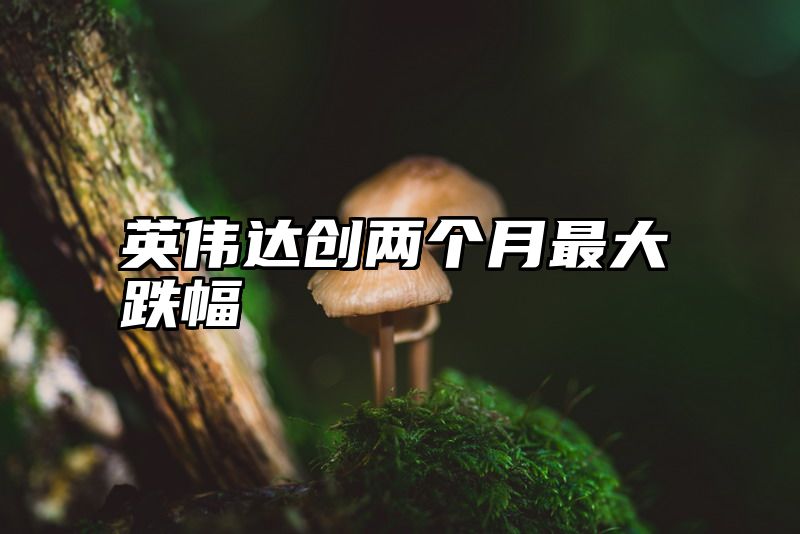 英伟达创两个月最大跌幅