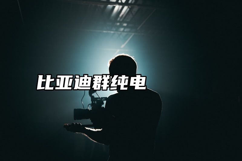 比亚迪群纯电