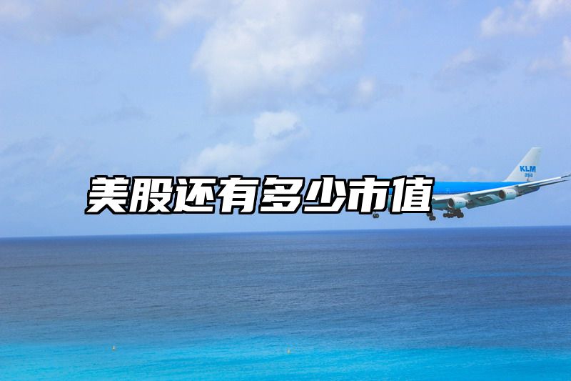 美股还有多少市值