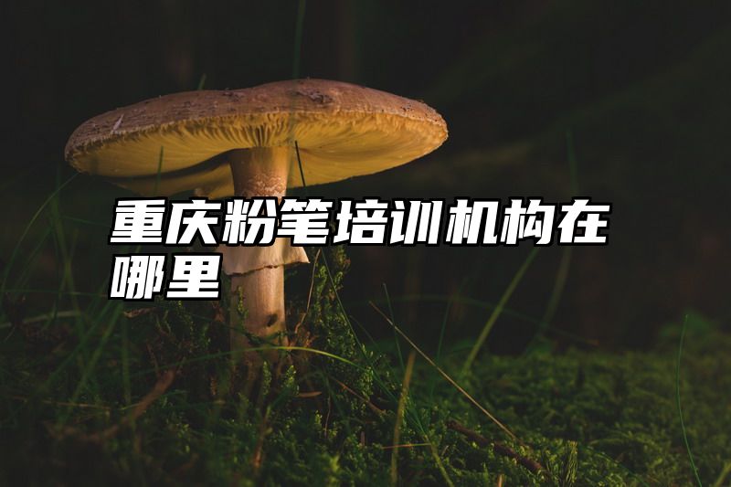 重庆粉笔培训机构在哪里