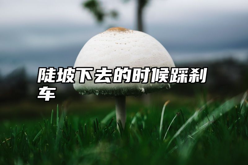 陡坡下去的时候踩刹车