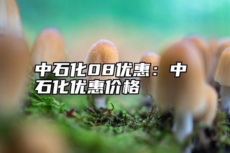 中石化08优惠：中石化优惠价格