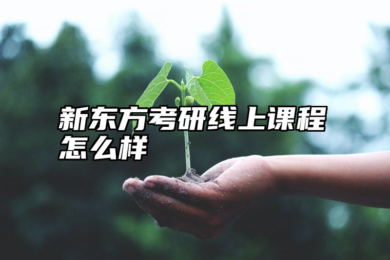 新东方考研线上课程怎么样