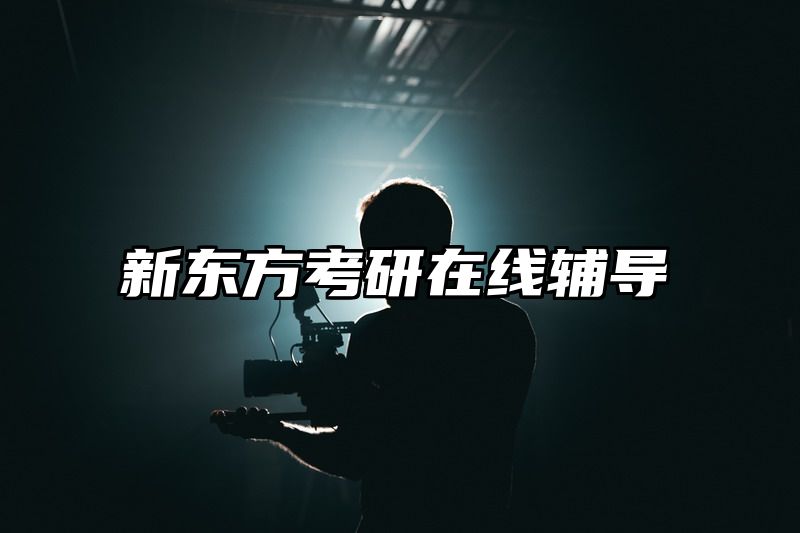 新东方考研在线辅导